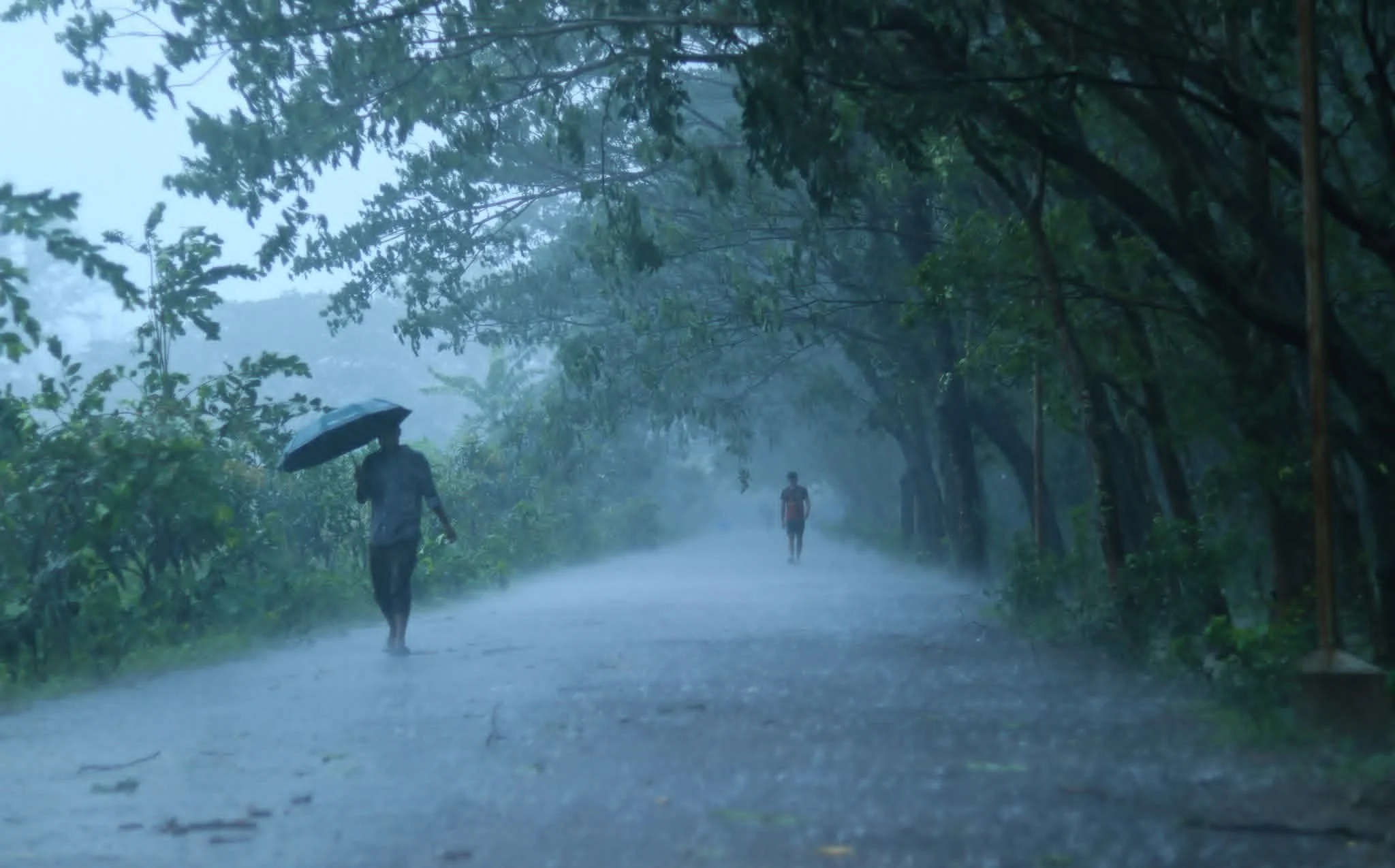Rainy Shantiniketon